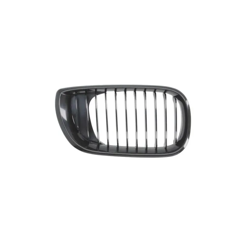 Grille de radiateur avant droit BLIC 6502-07-0061994BP
