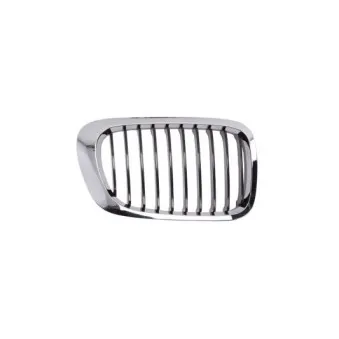 Grille de radiateur avant droit BLIC 6502-07-0061994PP