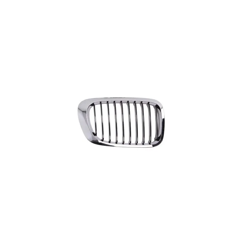 Grille de radiateur avant droit BLIC 6502-07-0061994PP