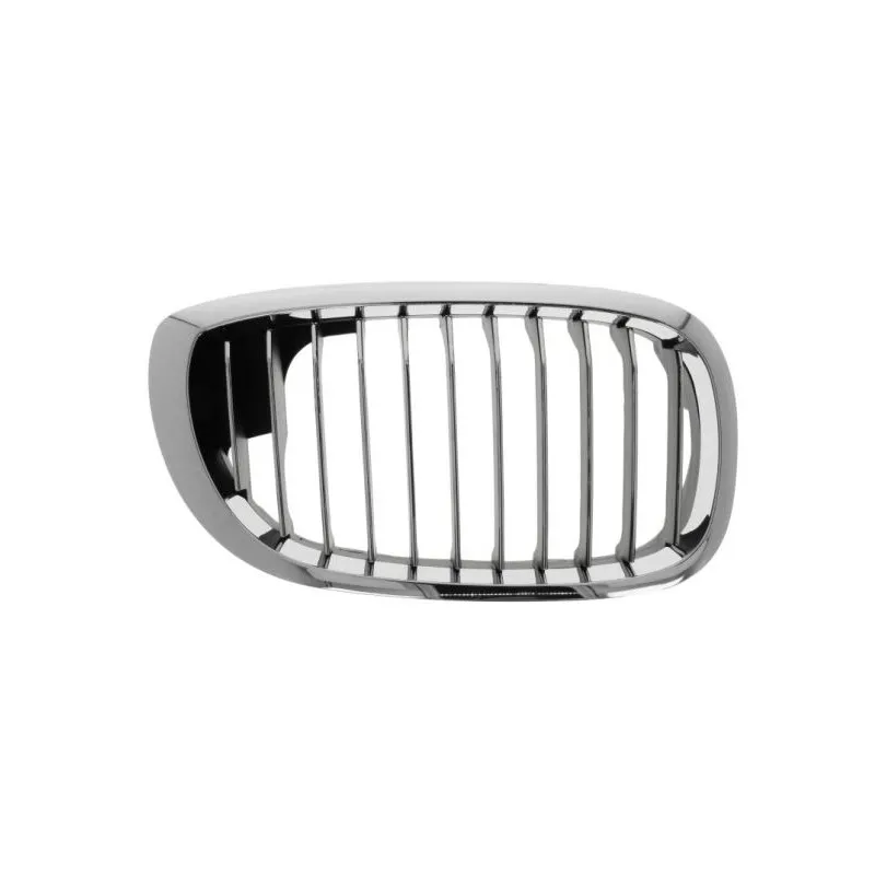 Grille de radiateur avant droit BLIC 6502-07-0061997PP