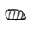 Grille de radiateur BLIC 6502-07-00629911Q - Visuel 2
