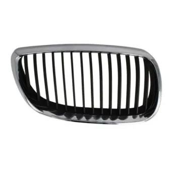 Grille de radiateur avant droit BLIC