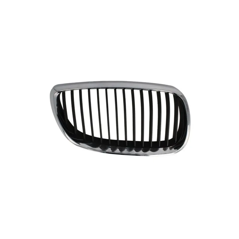 Grille de radiateur avant droit BLIC 6502-07-00629912P