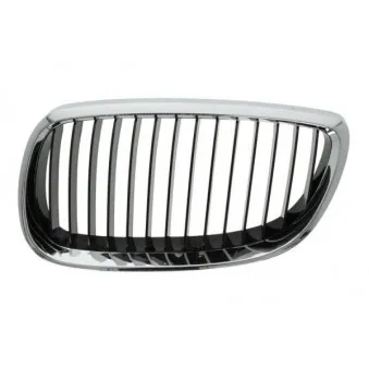 Grille de radiateur BLIC 6502-07-00629916Q