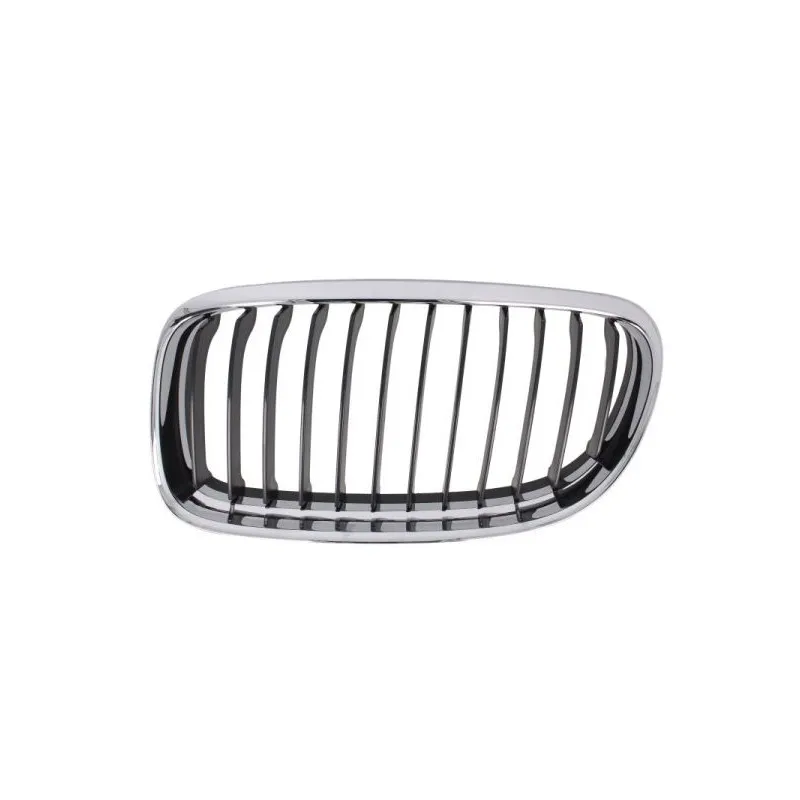 Grille de radiateur BLIC 6502-07-0062991AP