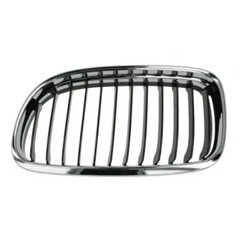 Grille de radiateur BLIC 6502-07-0062991AQ