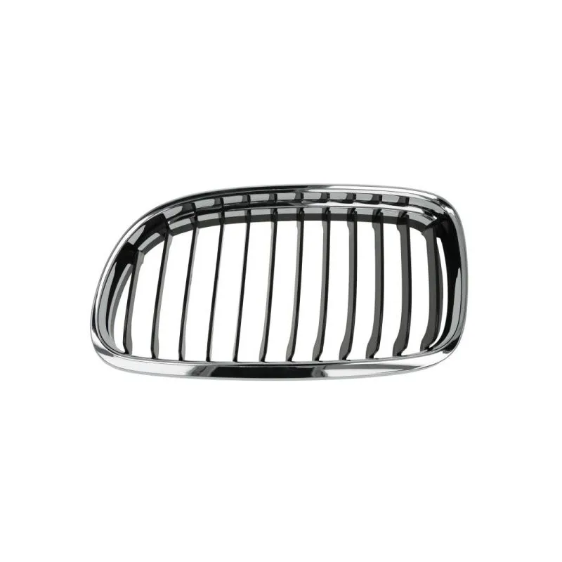 Grille de radiateur BLIC 6502-07-0062991AQ