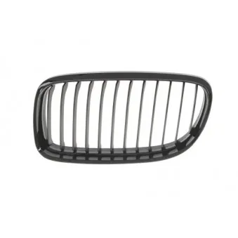 Grille de radiateur BLIC 6502-07-0062991BQ