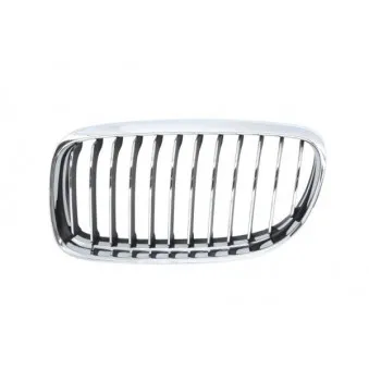 Grille de radiateur avant gauche BLIC 6502-07-0062991PQ