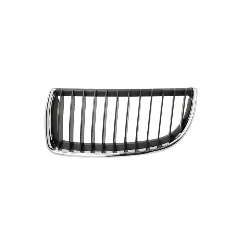 Grille de radiateur BLIC 6502-07-0062991Q