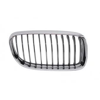 Grille de radiateur BLIC 6502-07-0062992AP