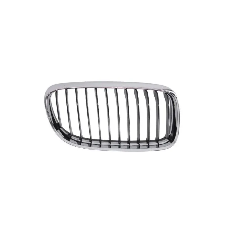 Grille de radiateur BLIC 6502-07-0062992AP