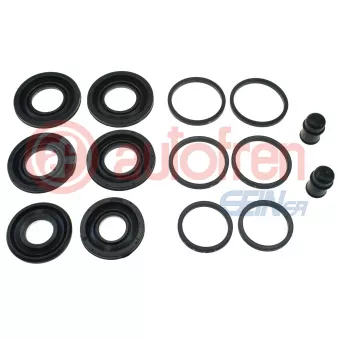 Kit de réparation, étrier de frein AUTOFREN SEINSA D43207