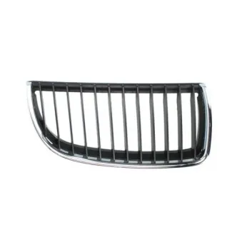 Grille de radiateur avant droit BLIC 6502-07-0062992P