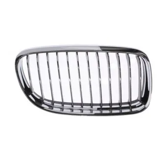 Grille de radiateur avant droit BLIC 6502-07-0062992PP