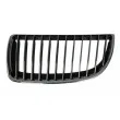 Grille de radiateur avant gauche BLIC 6502-07-0062993P - Visuel 1