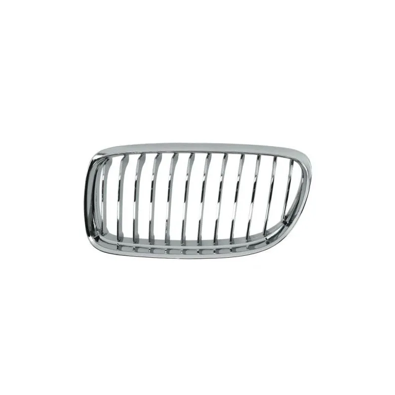 Grille de radiateur BLIC 6502-07-0062993PP