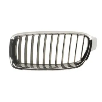 Grille de radiateur BLIC 6502-07-0063991P