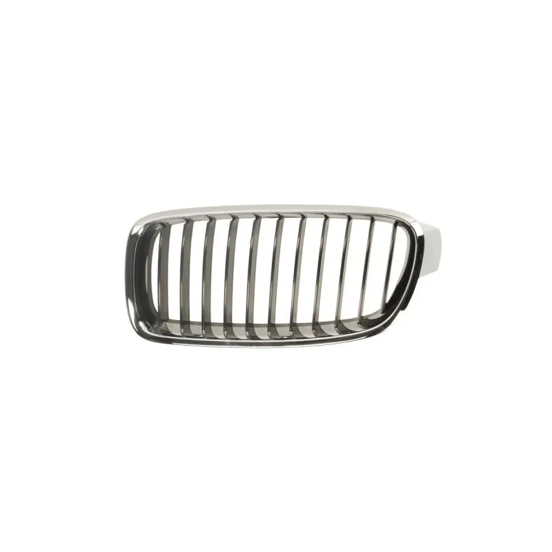 Grille de radiateur BLIC 6502-07-0063991P