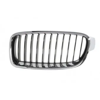 Grille de radiateur BLIC 6502-07-0063991Q