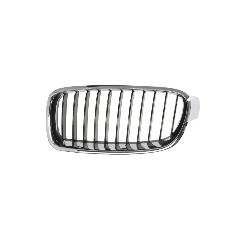 Grille de radiateur BLIC 6502-07-0063991Q