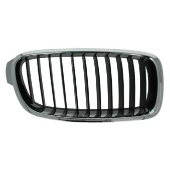 Grille de radiateur BLIC 6502-07-0063992P