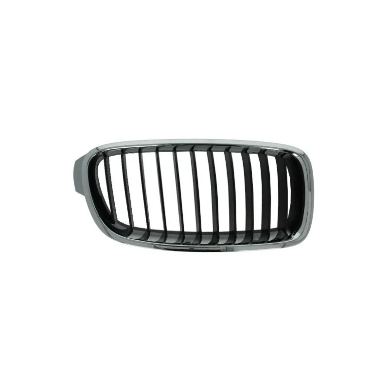 Grille de radiateur BLIC 6502-07-0063992P