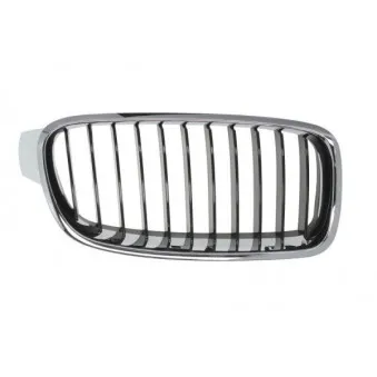 Grille de radiateur BLIC 6502-07-0063992Q
