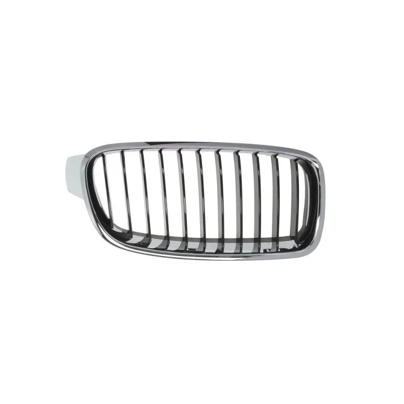 Grille de radiateur BLIC 6502-07-0063992Q