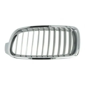 Grille de radiateur BLIC 6502-07-0063993P