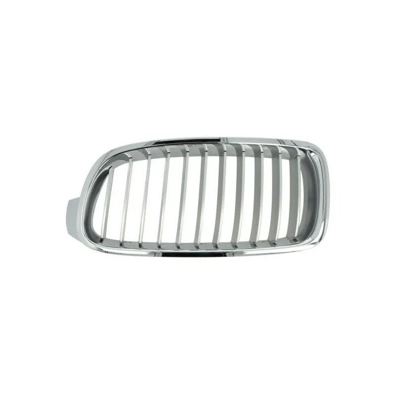 Grille de radiateur BLIC 6502-07-0063993P