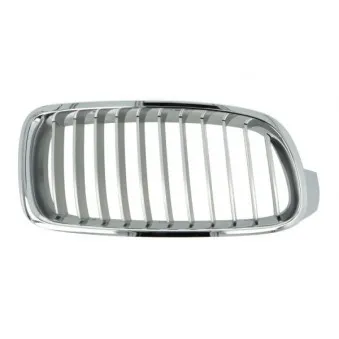 Grille de radiateur BLIC 6502-07-0063994P