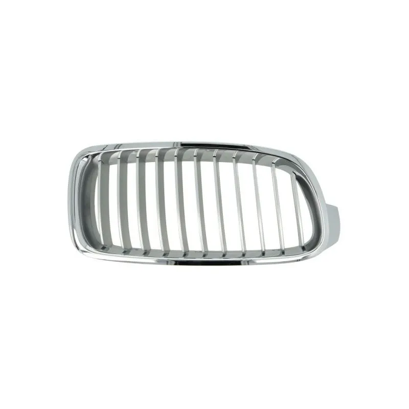 Grille de radiateur BLIC 6502-07-0063994P