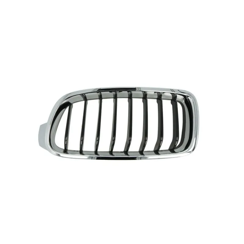 Grille de radiateur BLIC 6502-07-0063995P