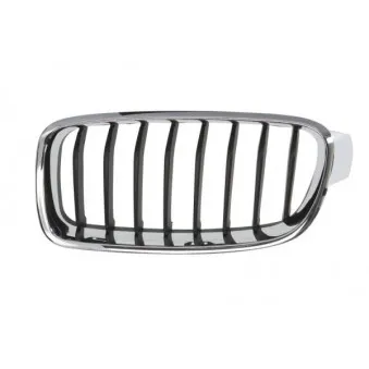 Grille de radiateur BLIC 6502-07-0063995Q