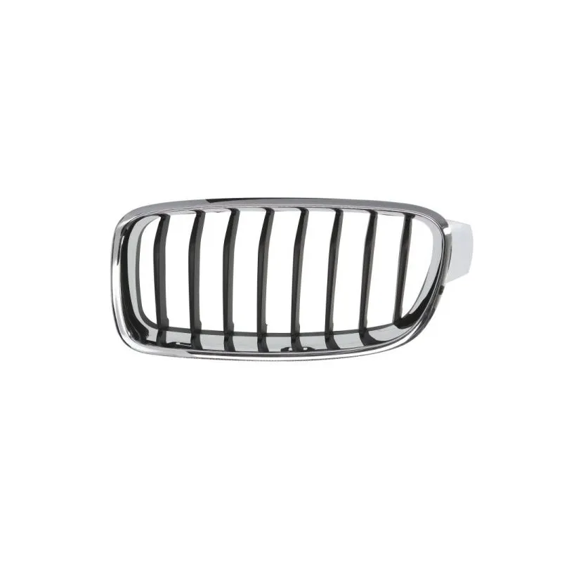 Grille de radiateur BLIC 6502-07-0063995Q