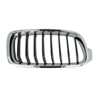 Grille de radiateur BLIC 6502-07-0063996P