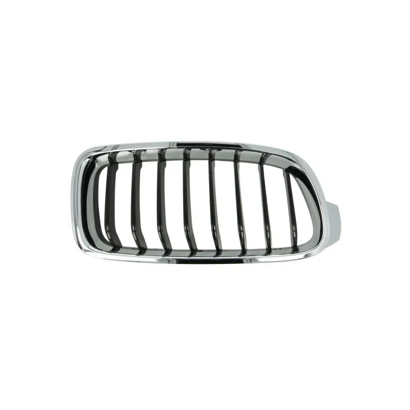 Grille de radiateur BLIC 6502-07-0063996P