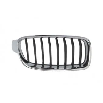 Grille de radiateur BLIC 6502-07-0063996Q