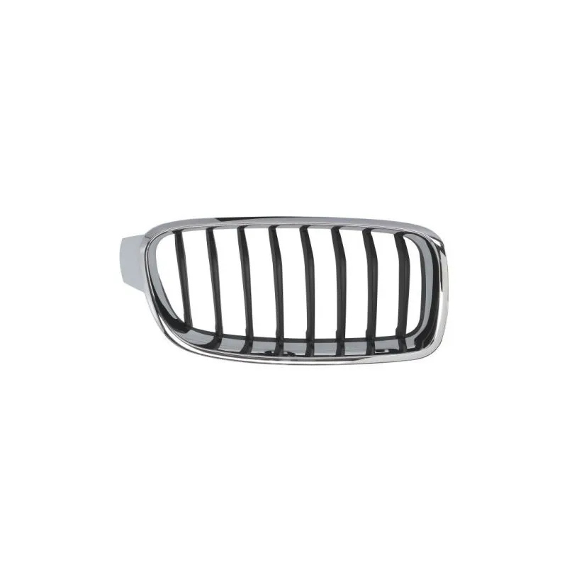 Grille de radiateur BLIC 6502-07-0063996Q