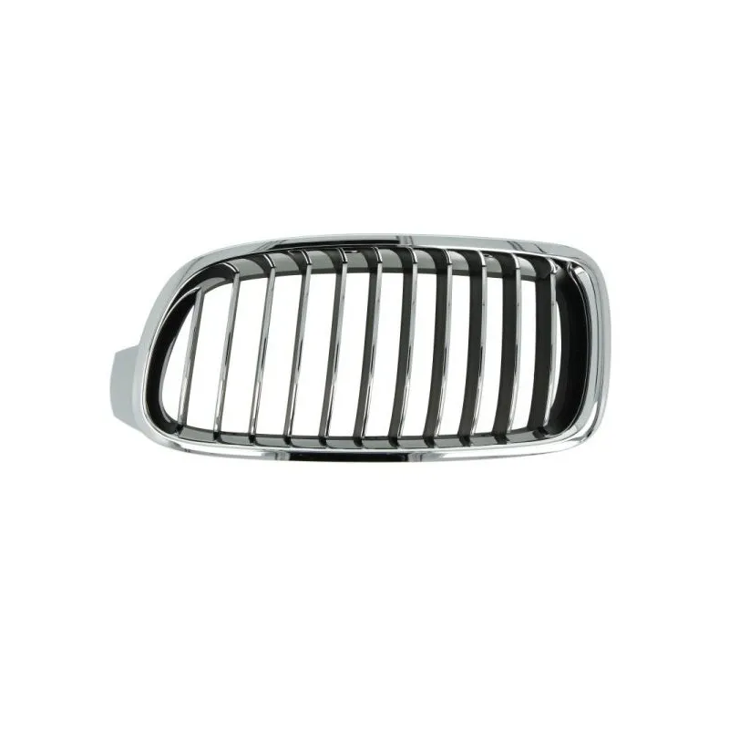 Grille de radiateur BLIC 6502-07-0063997P