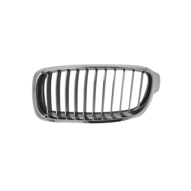 Grille de radiateur BLIC 6502-07-0063997Q