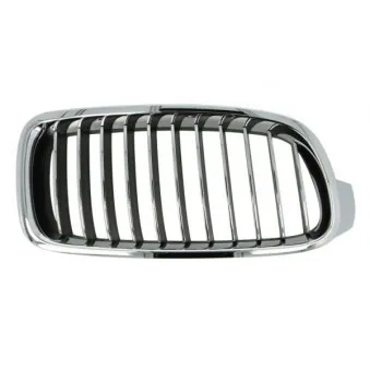 Grille de radiateur BLIC 6502-07-0063998P