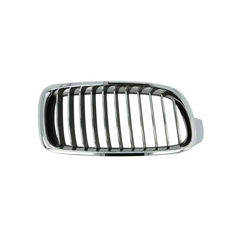 Grille de radiateur BLIC 6502-07-0063998P