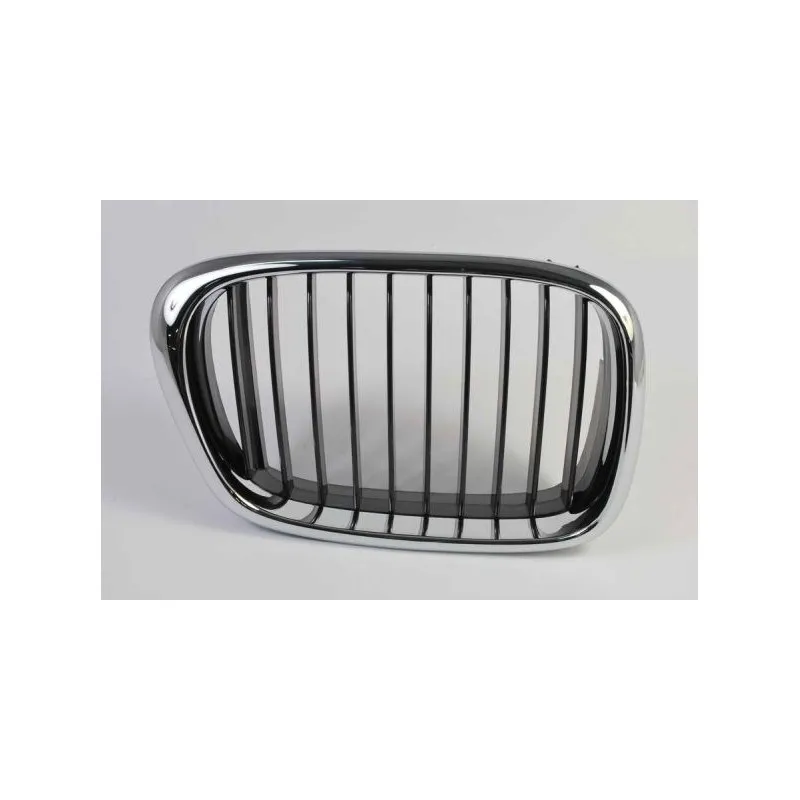 Grille de radiateur avant droit BLIC 6502-07-00659912P