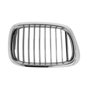 Grille de radiateur avant droit BLIC 6502-07-00659914P