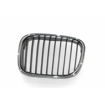Grille de radiateur avant gauche BLIC 6502-07-0065991P