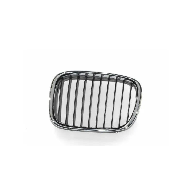 Grille de radiateur avant gauche BLIC 6502-07-0065991P