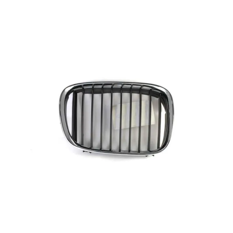 Grille de radiateur avant droit BLIC 6502-07-0065992P