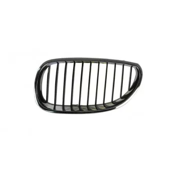 Grille de radiateur avant gauche BLIC 6502-07-0066991P